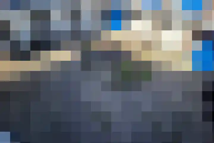 De Spinne 26 Goes thumbnail 5