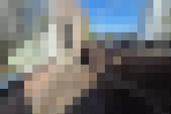 De Spinne 26 Goes thumbnail 8