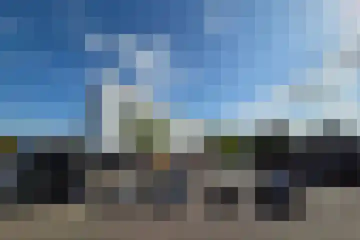 De Spinne 26 Goes thumbnail 9