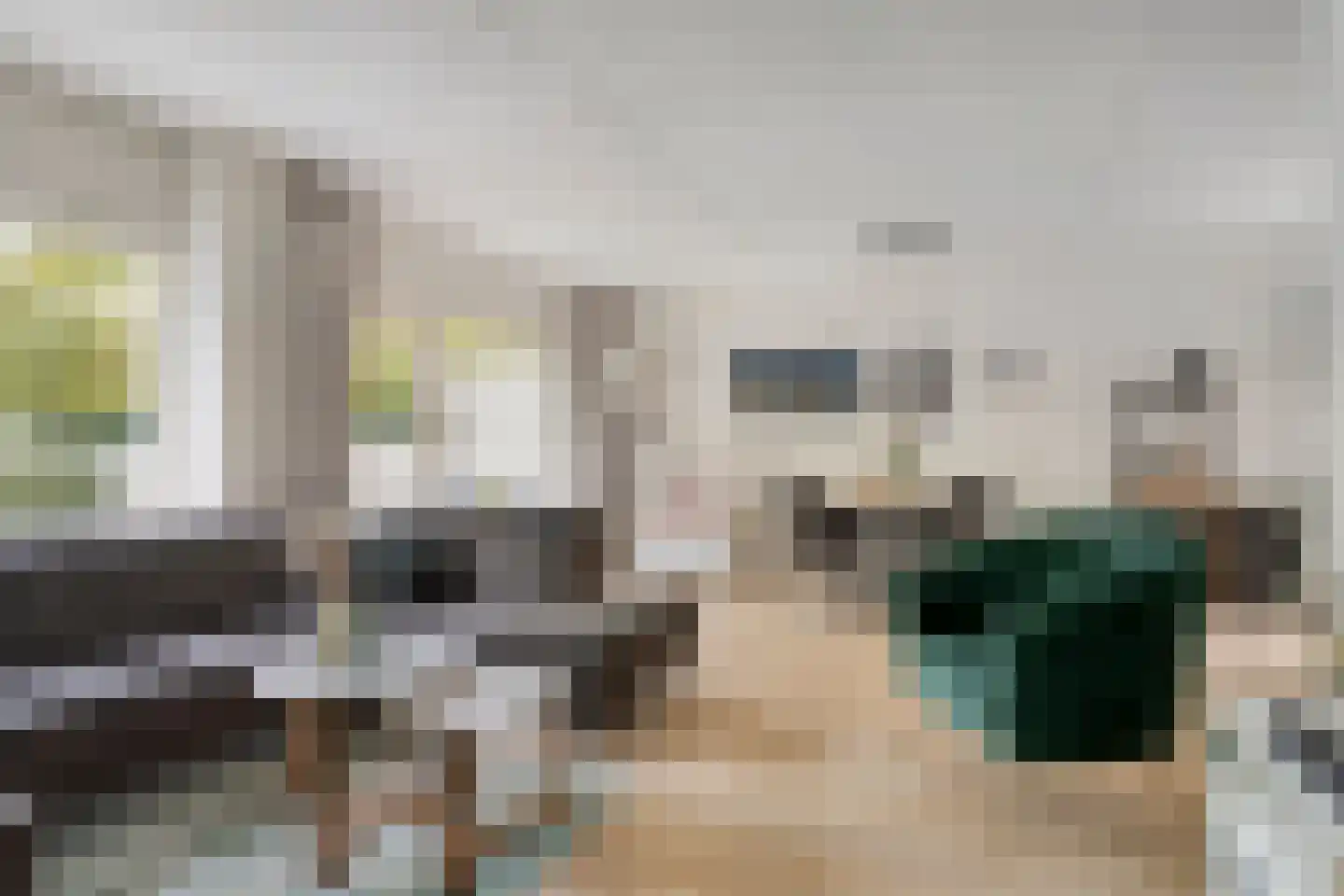 De Spinne 31 Goes thumbnail 13