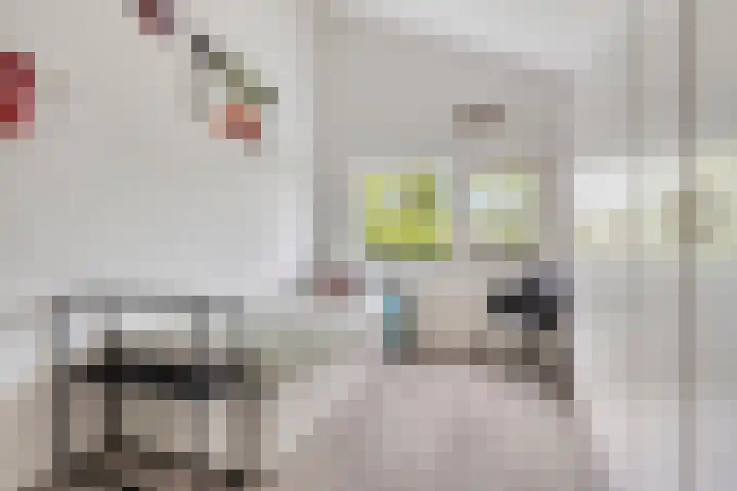 De Spinne 31 Goes thumbnail 28
