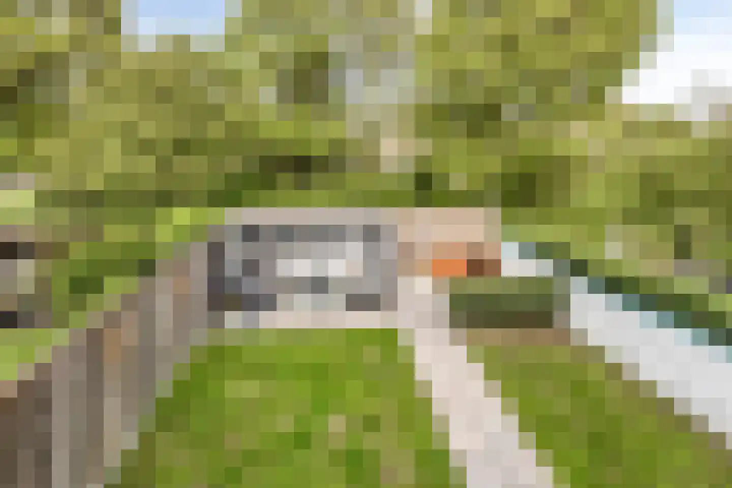De Spinne 31 Goes thumbnail 32