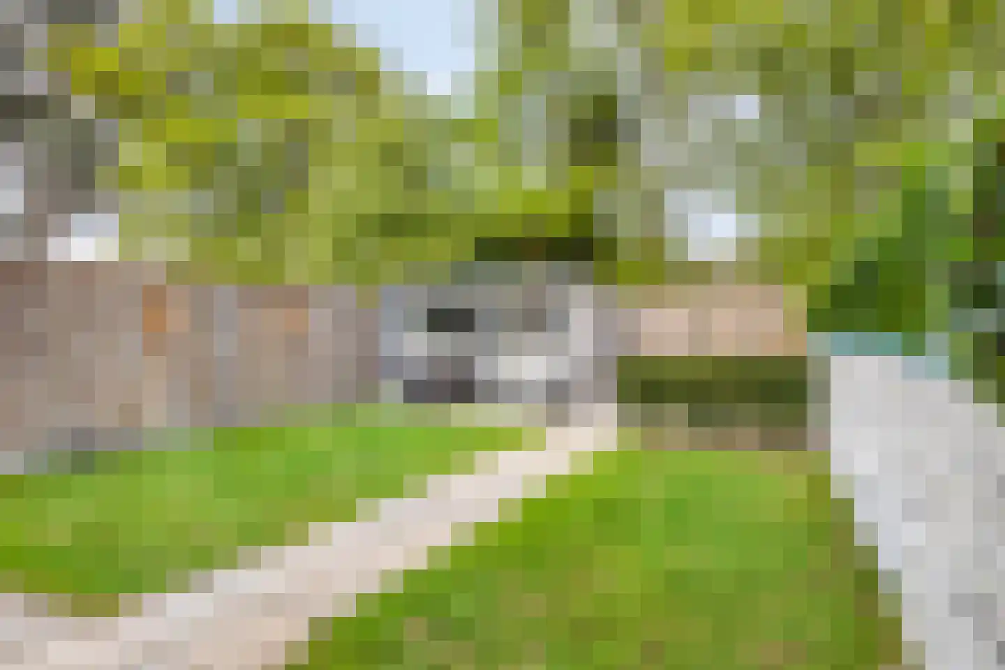 De Spinne 31 Goes thumbnail 34