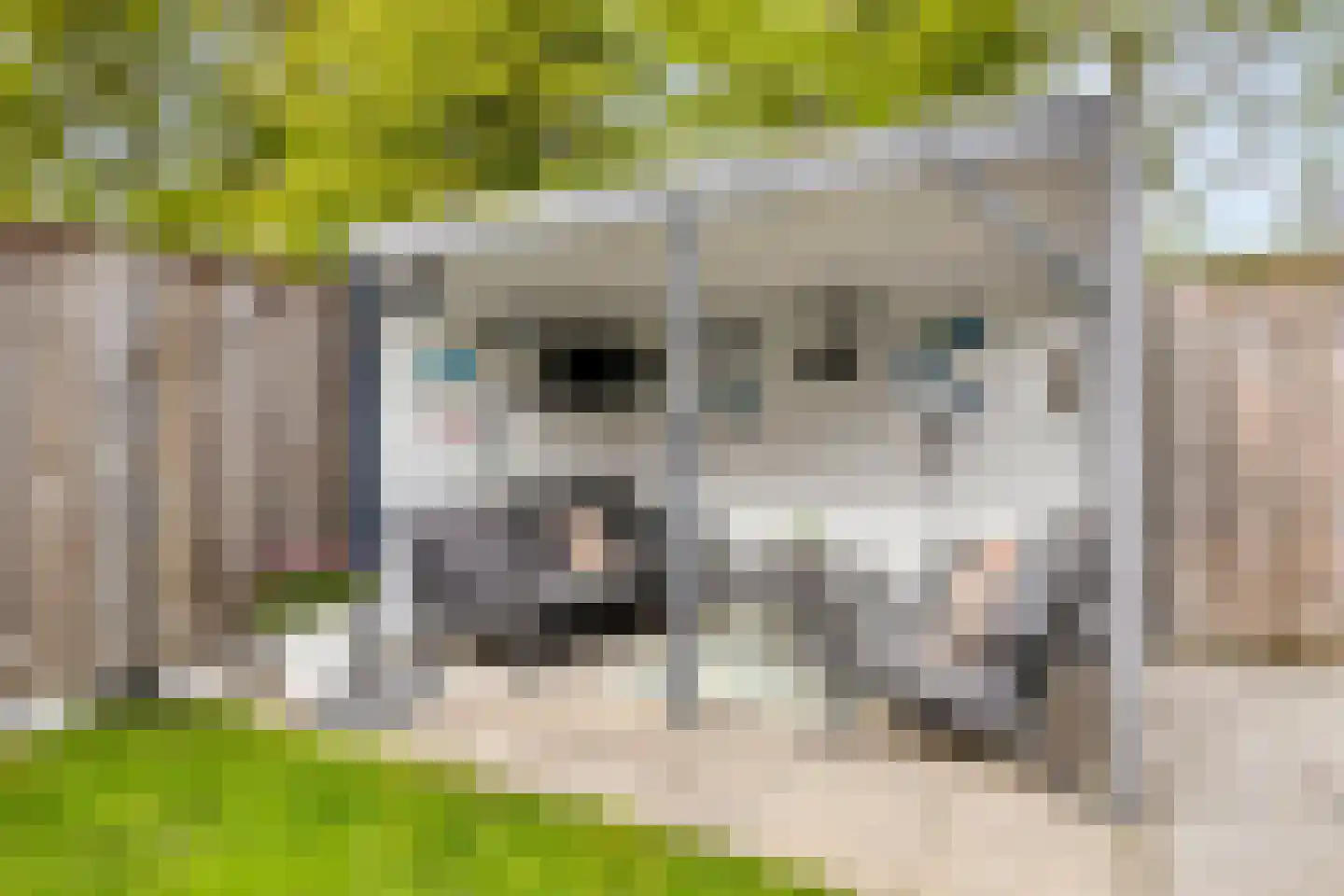 De Spinne 31 Goes thumbnail 35