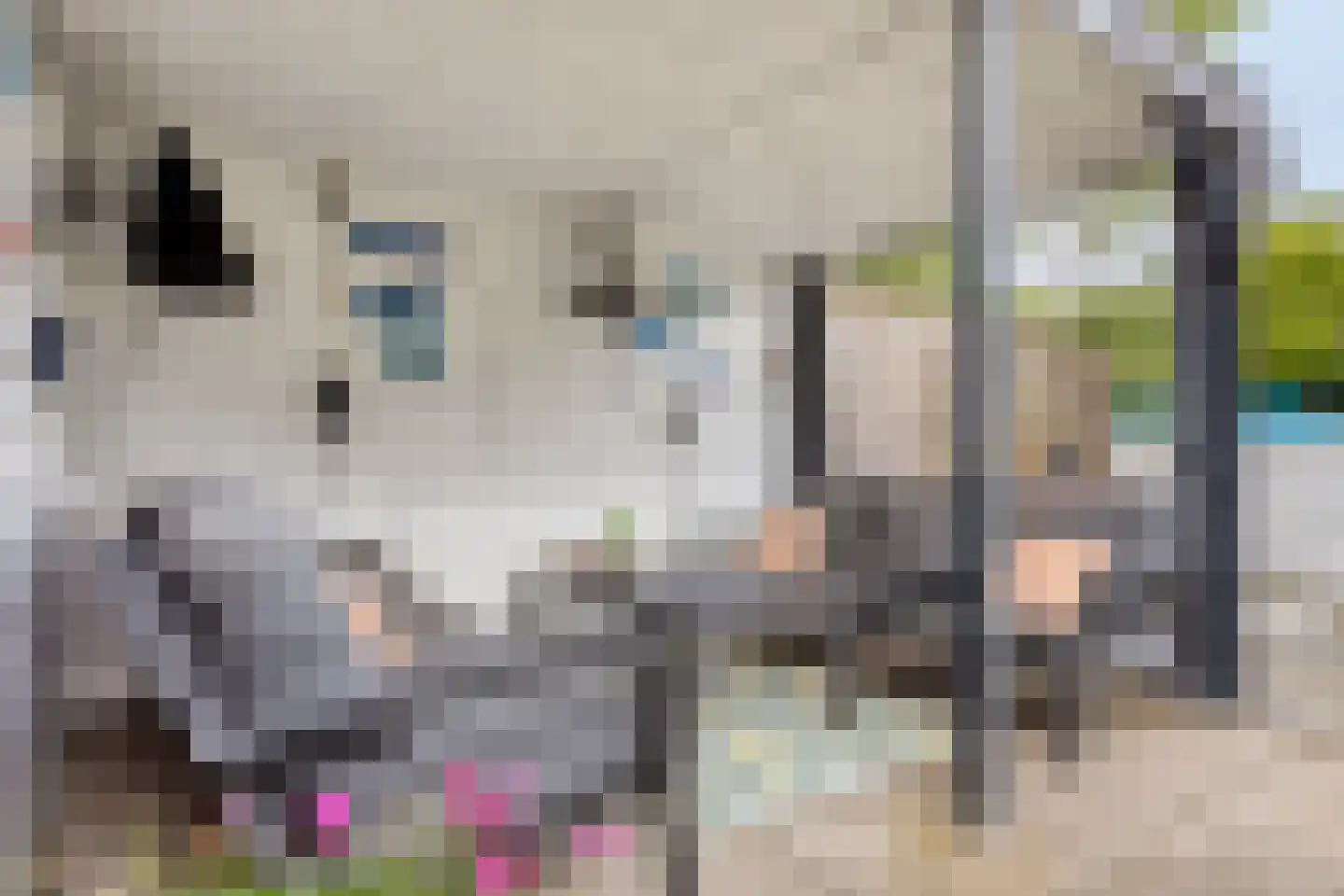 De Spinne 31 Goes thumbnail 36