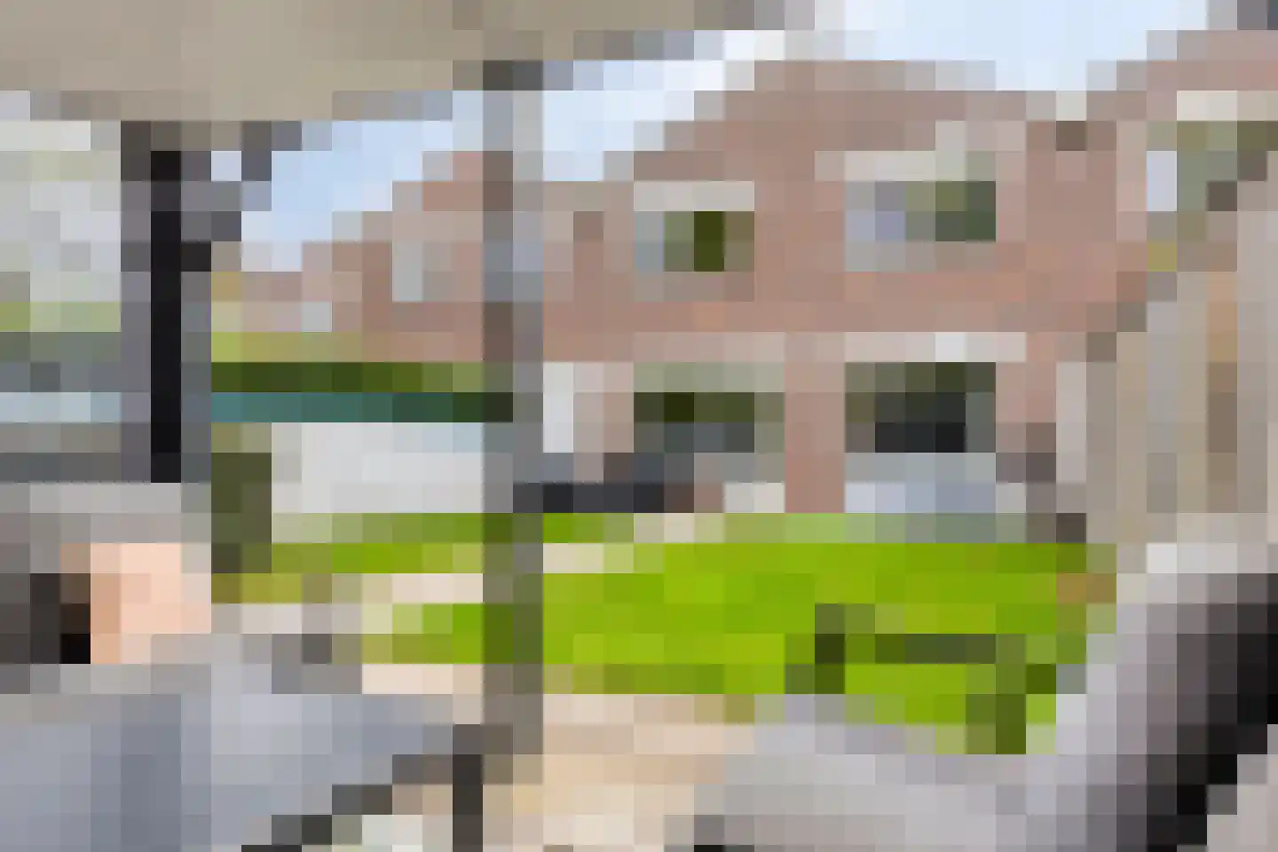 De Spinne 31 Goes thumbnail 37