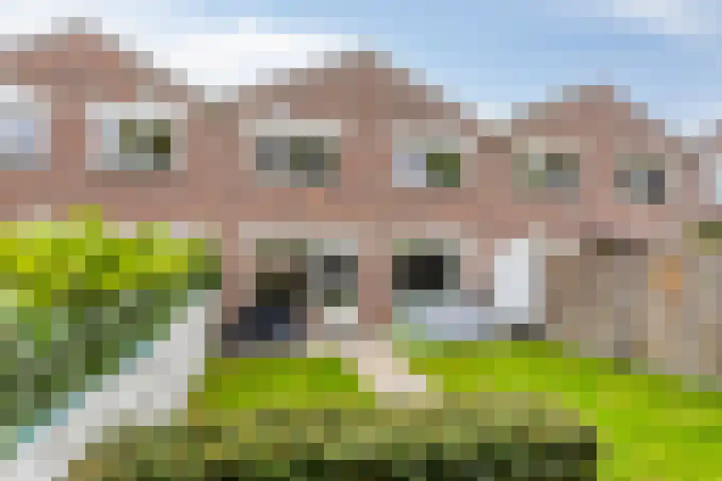 De Spinne 31 Goes thumbnail 38