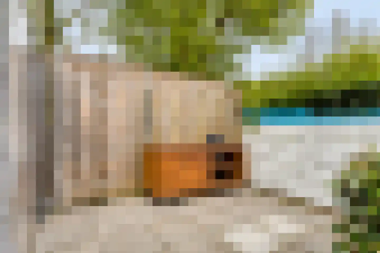 De Spinne 31 Goes thumbnail 39