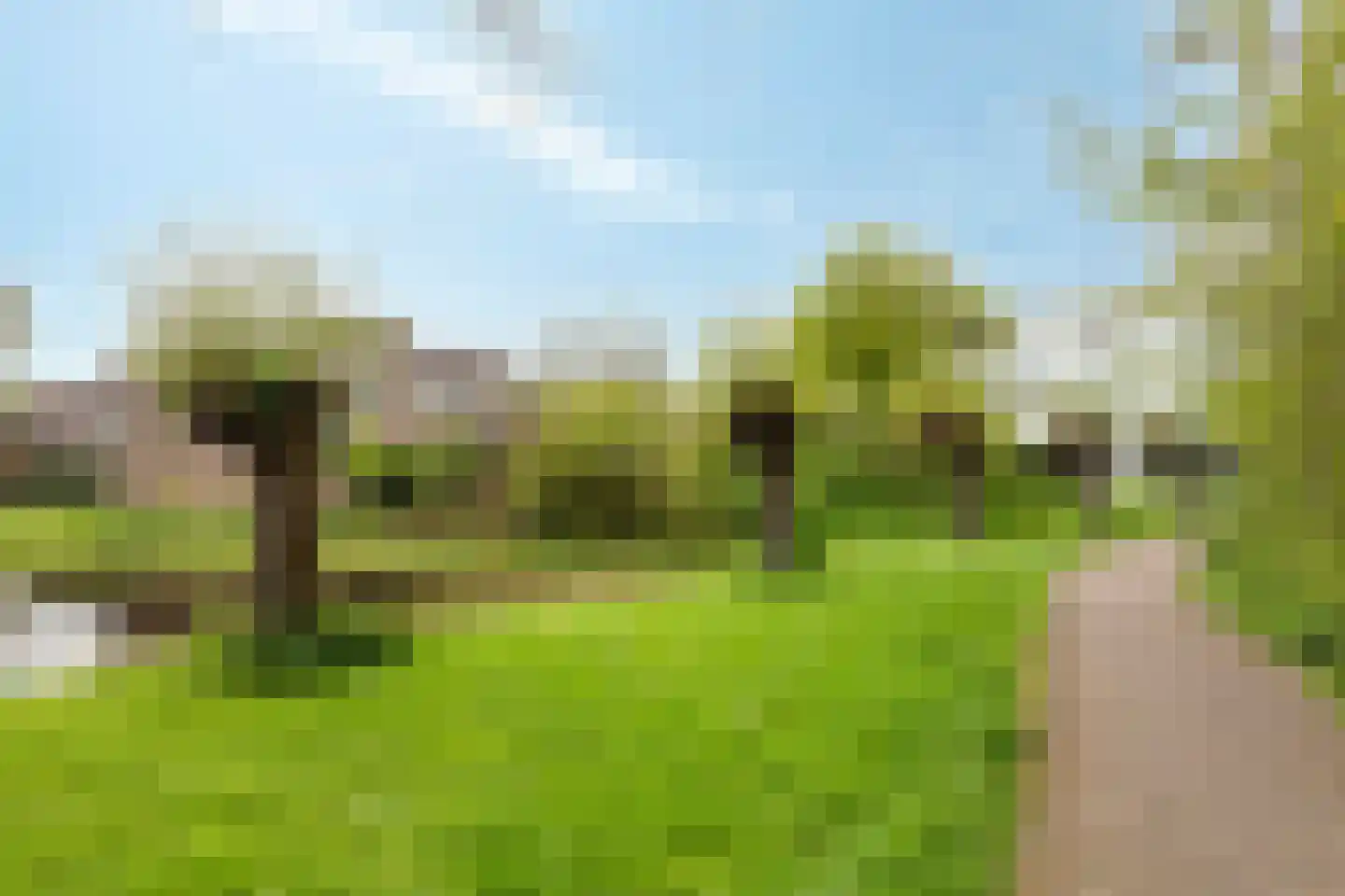 De Spinne 31 Goes thumbnail 40