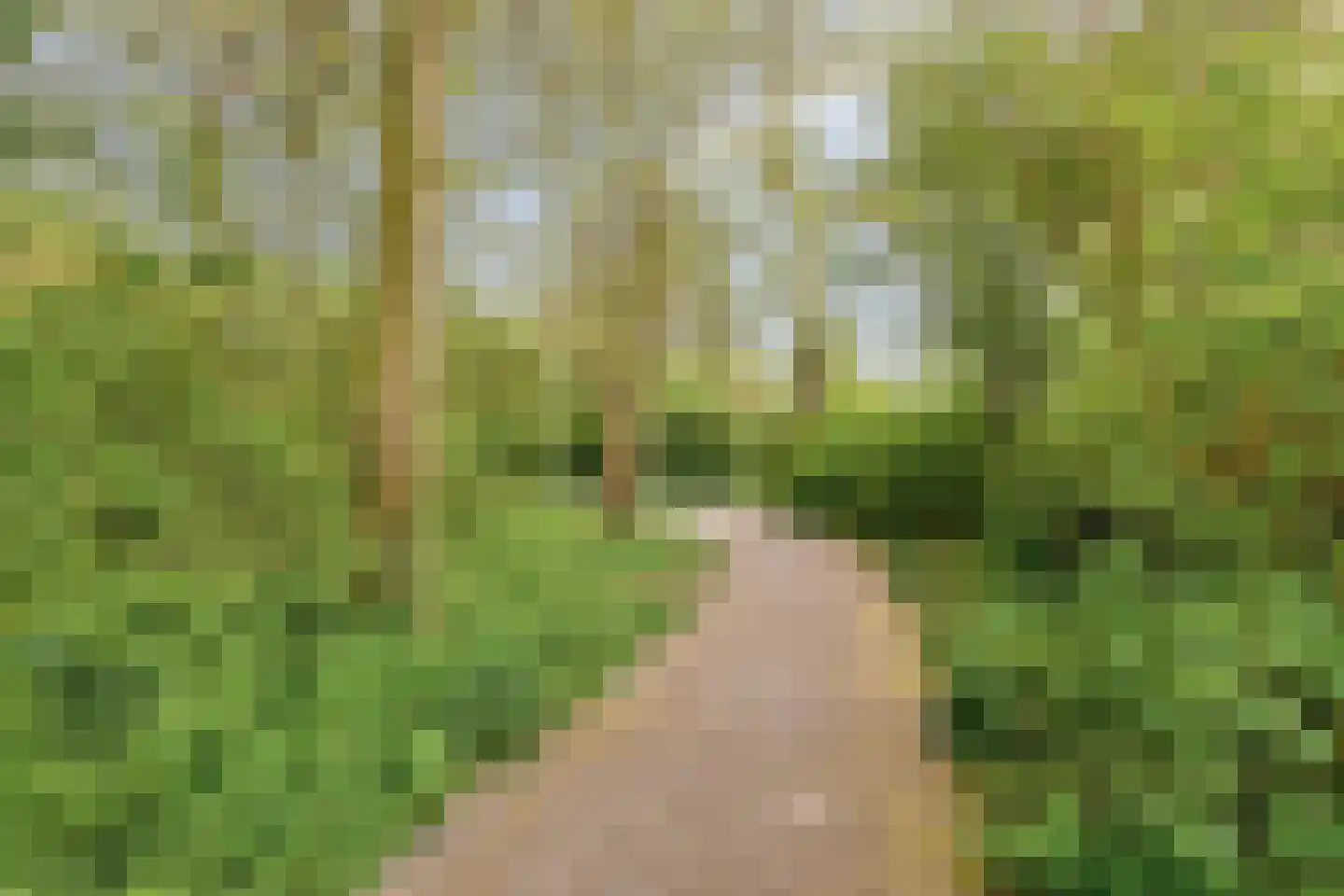 De Spinne 31 Goes thumbnail 41