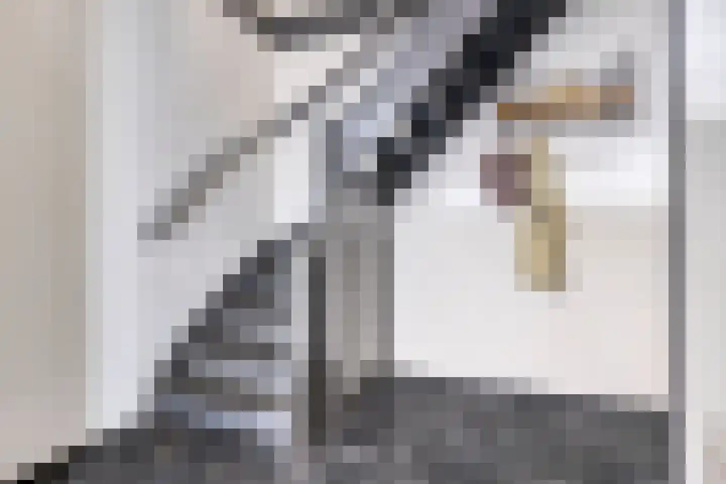 De Spinne 31 Goes thumbnail 9