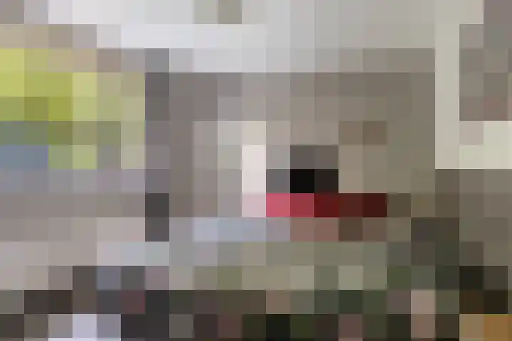 De Spinnekop 2 Witmarsum thumbnail 17