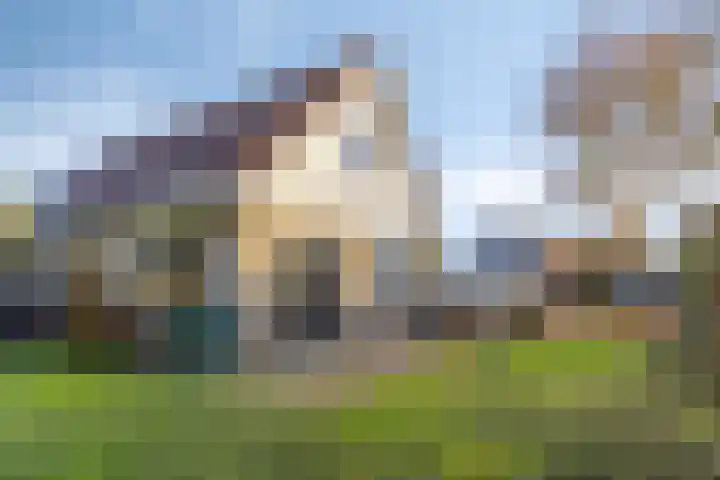 De Spinnekop 2 Witmarsum thumbnail 24