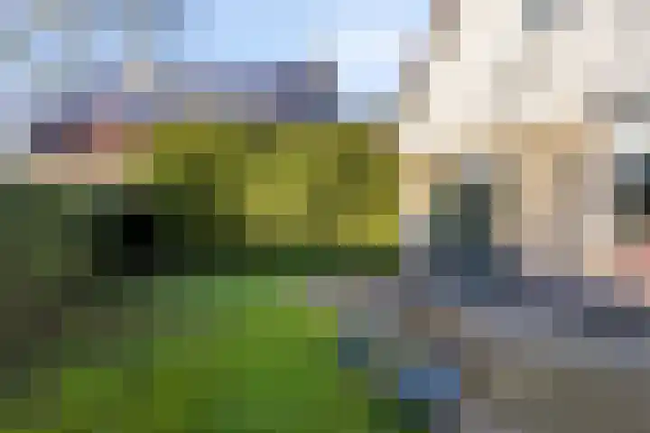 De Spinnekop 2 Witmarsum thumbnail 25