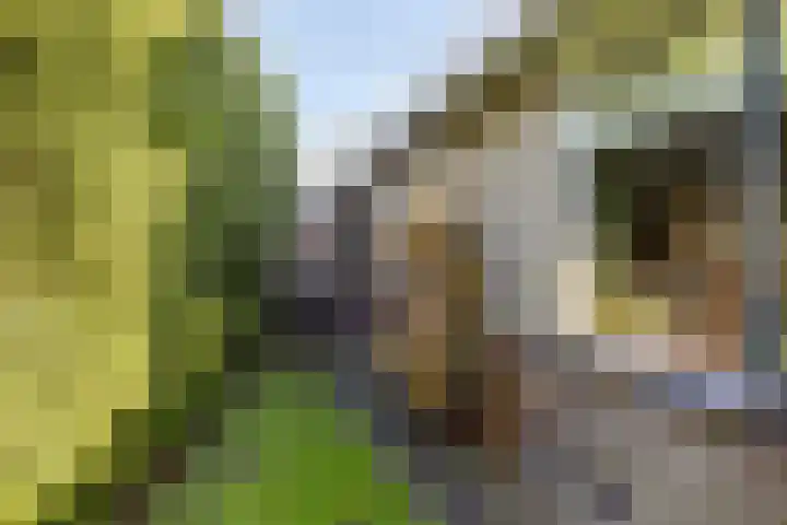 De Spinnekop 2 Witmarsum thumbnail 26