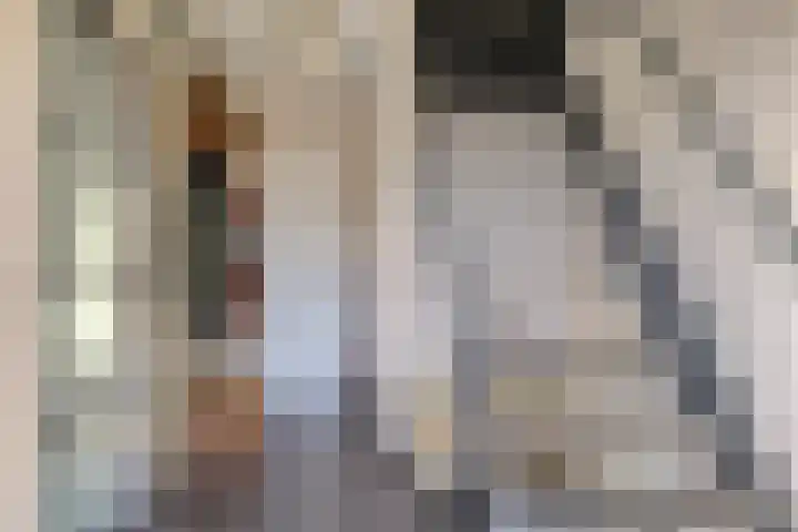 De Spinnekop 2 Witmarsum thumbnail 5