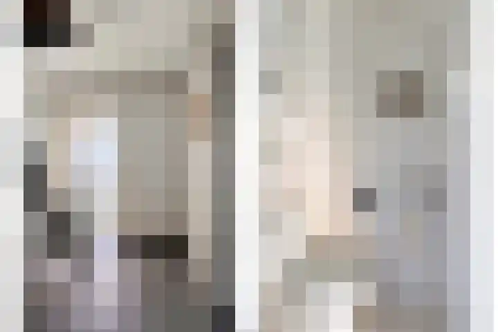 De Spinnekop 2 Witmarsum thumbnail 6