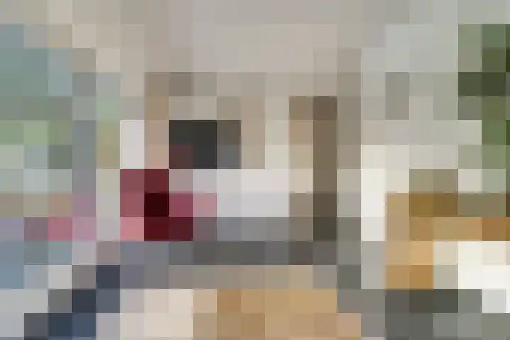 De Spinnerij 15 Angerlo thumbnail 19
