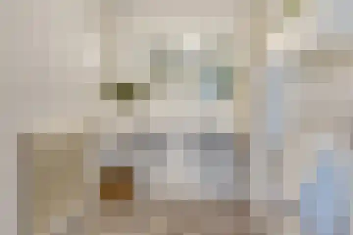 De Spinnerij 15 Angerlo thumbnail 23