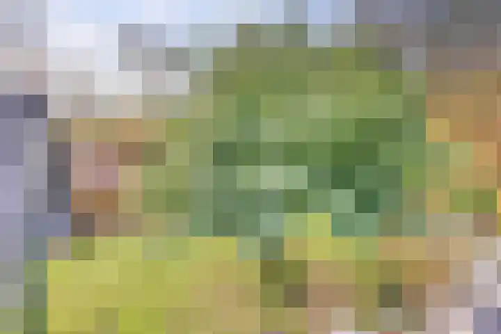 De Spinnerij 15 Angerlo thumbnail 30