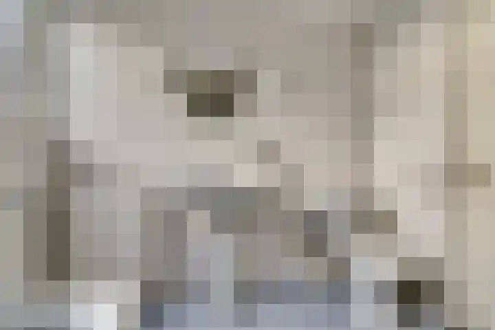 De Spinnerij 15 Angerlo thumbnail 36