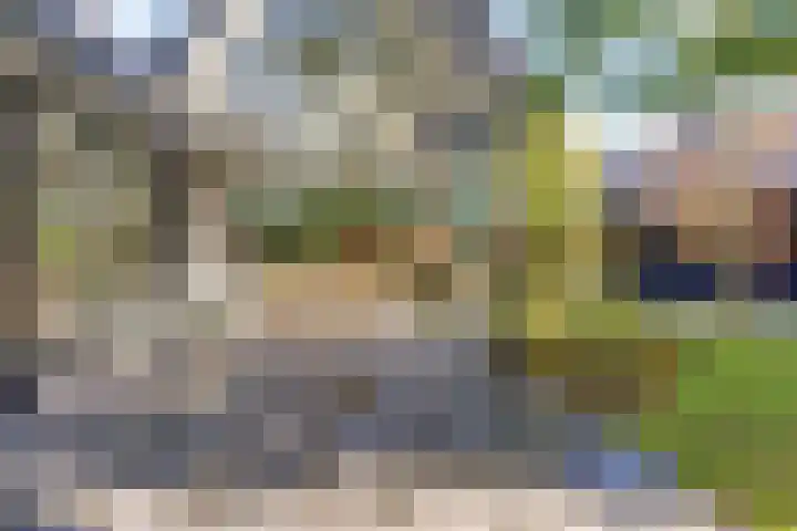 De Spinnerij 15 Angerlo thumbnail 4