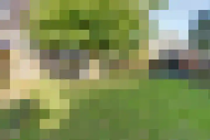 De Spinnerij 15 Angerlo thumbnail 42
