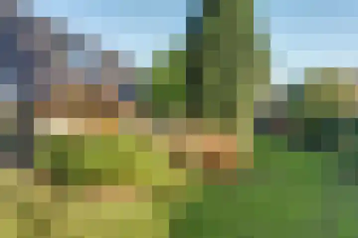 De Spinnerij 15 Angerlo thumbnail 43