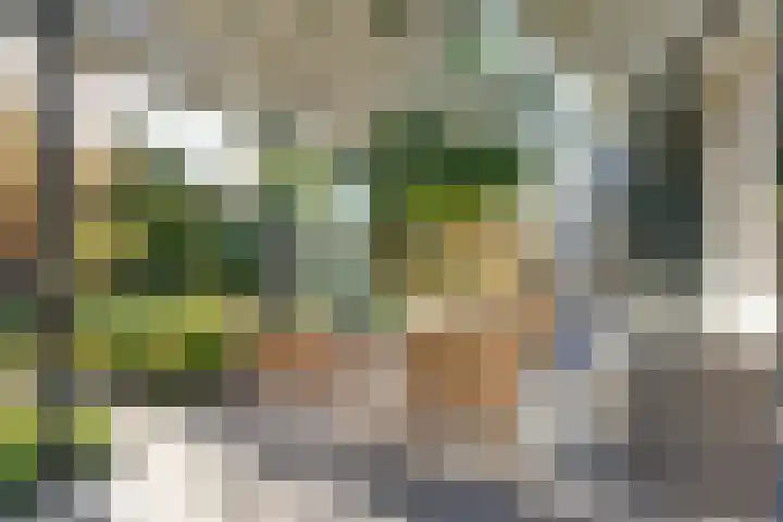De Spinnerij 15 Angerlo thumbnail 44