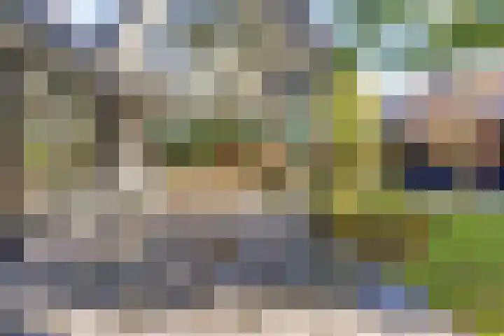 De Spinnerij 15 Angerlo thumbnail 45