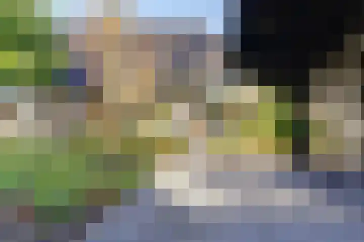 De Spinnerij 15 Angerlo thumbnail 46