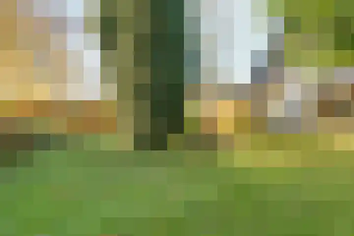 De Spinnerij 15 Angerlo thumbnail 47