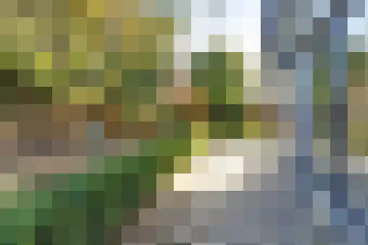 De Spinnerij 15 Angerlo thumbnail 48