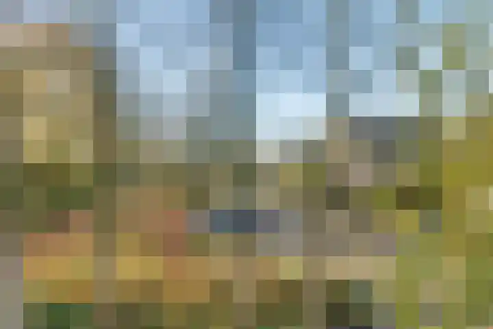 De Spinnerij 15 Angerlo thumbnail 51