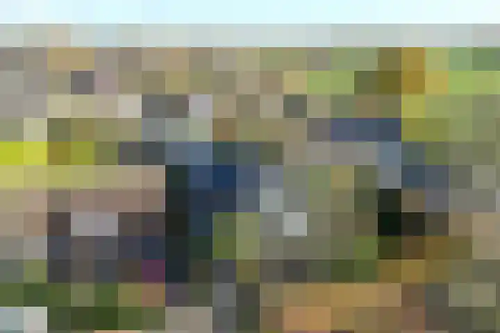 De Spinnerij 15 Angerlo thumbnail 53