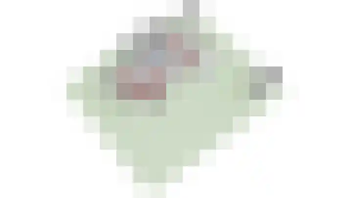De Spinnerij 15 Angerlo thumbnail 59