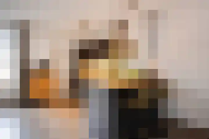 De Spinster 11 Boxtel thumbnail 11