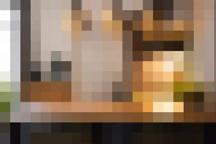 De Spinster 11 Boxtel thumbnail 14