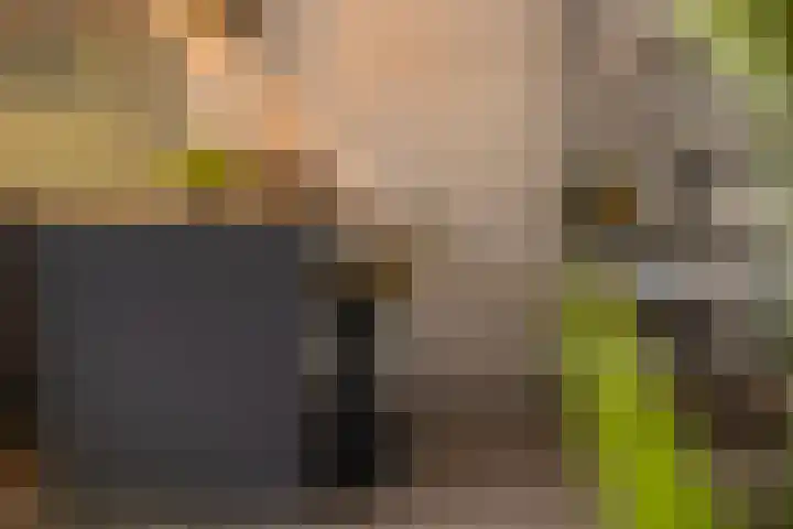 De Spinster 11 Boxtel thumbnail 17