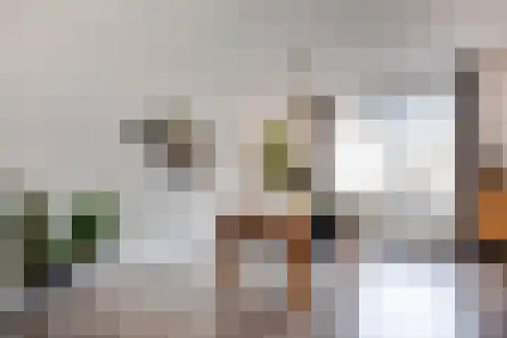 De Spinster 11 Boxtel thumbnail 20