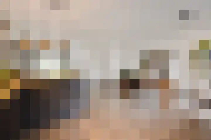 De Spinster 11 Boxtel thumbnail 22