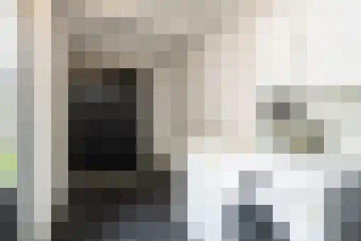 De Spinster 11 Boxtel thumbnail 24