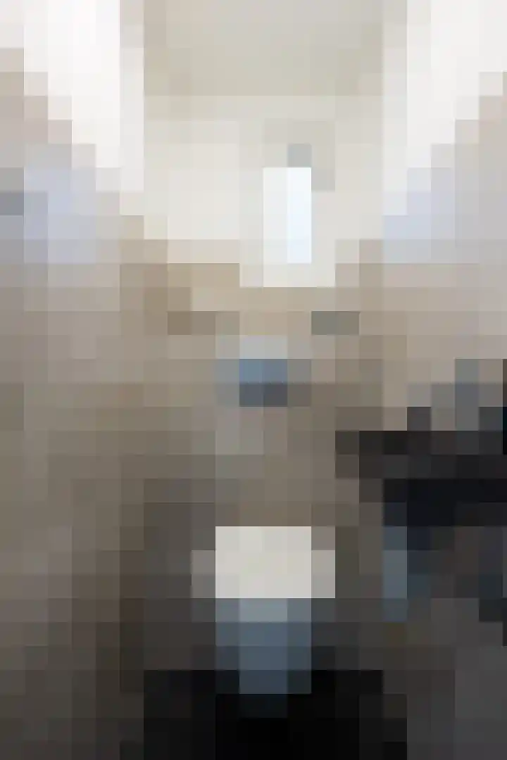 De Spinster 11 Boxtel thumbnail 26