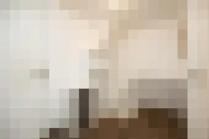 De Spinster 11 Boxtel thumbnail 28