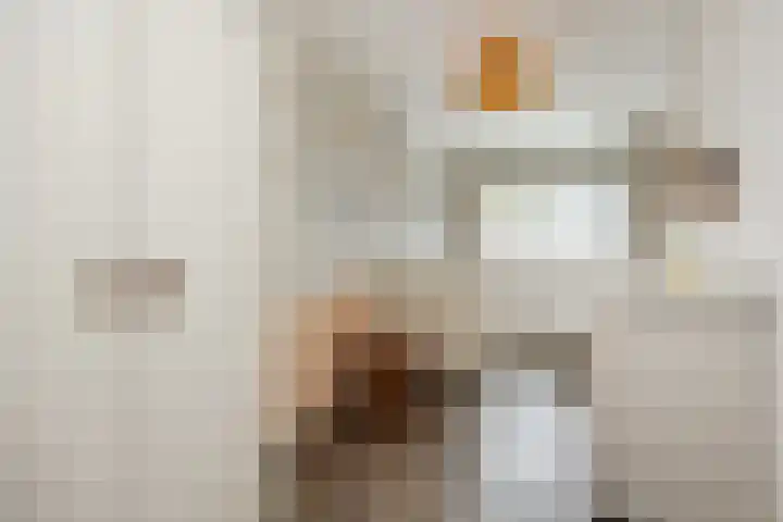 De Spinster 11 Boxtel thumbnail 29
