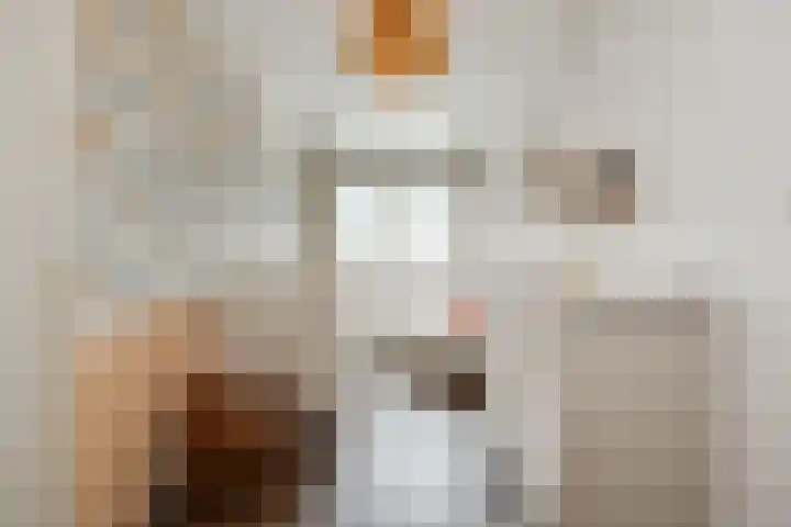 De Spinster 11 Boxtel thumbnail 30