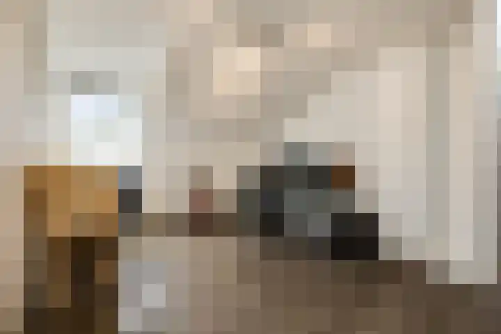 De Spinster 11 Boxtel thumbnail 32
