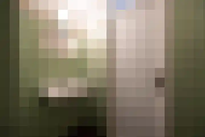 De Spinster 11 Boxtel thumbnail 35
