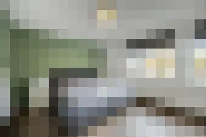 De Spinster 11 Boxtel thumbnail 36
