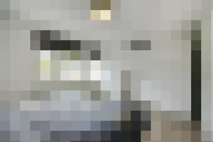 De Spinster 11 Boxtel thumbnail 37
